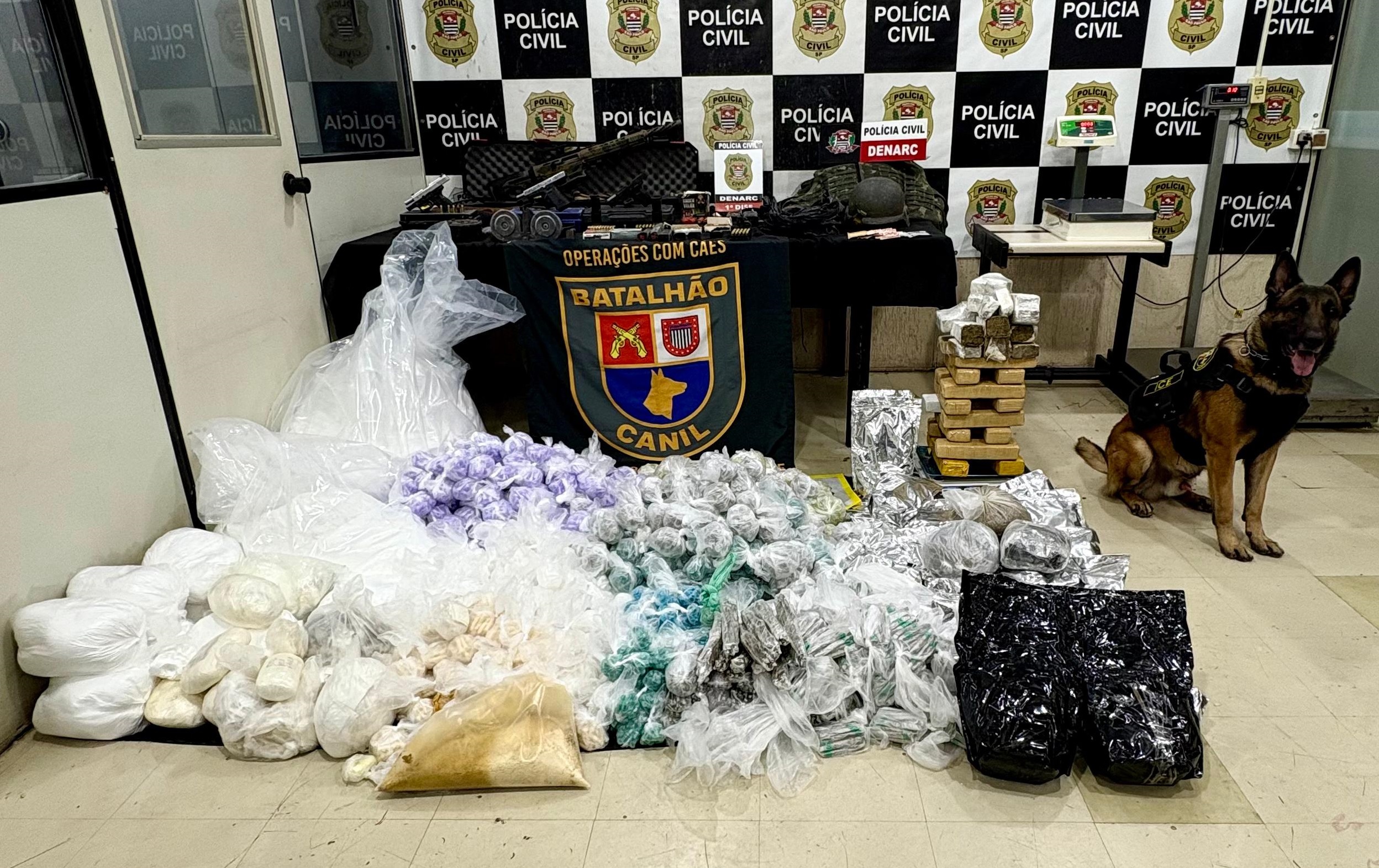 Cão da PM descobre casa com fuzil e 140 quilos de drogas em SP